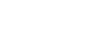 Hearos Ear Plugs